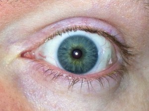 Blue? Hazel? Blue-Green? 