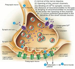 This is how messages are passed on, at the most basic level. 