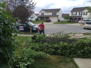 My best friend expertly wielding the chainsaw.